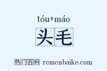 头毛是什么意思的图片